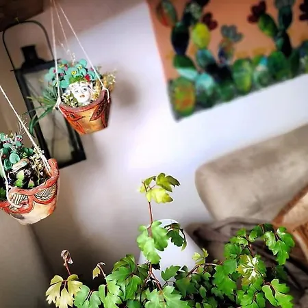 Bed and Breakfast Palermit'amo 4*